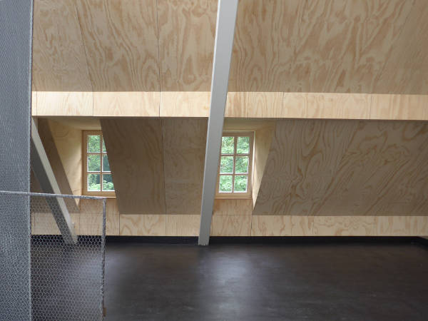 Seekiefer im Dachgeschoß Haus Mödrath, Haus für Kunst, Sollich Architekten 
 Jo Sollich